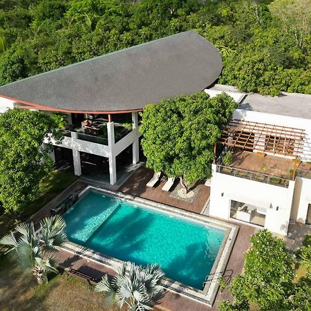 The Leaf By Stayvista - An Enchanting Escape Offering A Pool, Terrace, Lush Lawn, Contemporary Interiors, And Indoor Games Alībāg Eksteriør billede